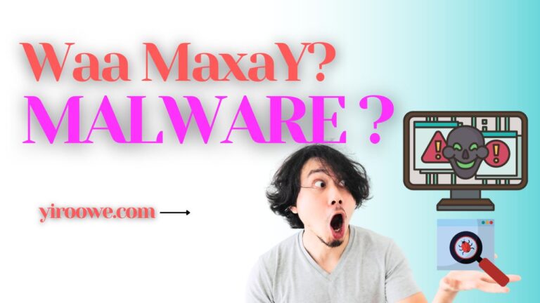 Waa Maxay Malicious Software (Malware)?