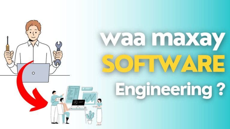 waa maxay software engineering